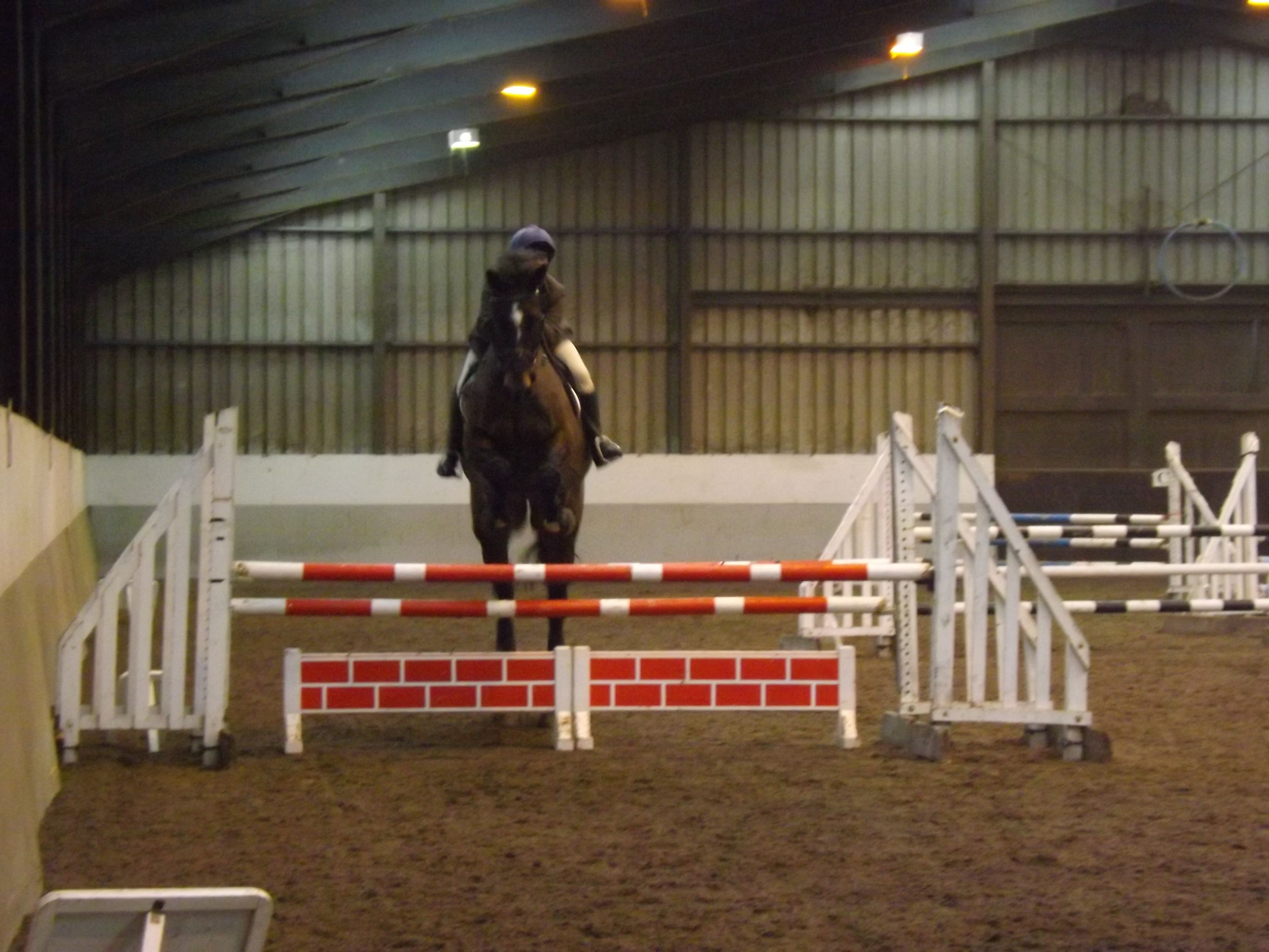 Area 4 Winter Show Jumping at Bishop Burton Feb 2019