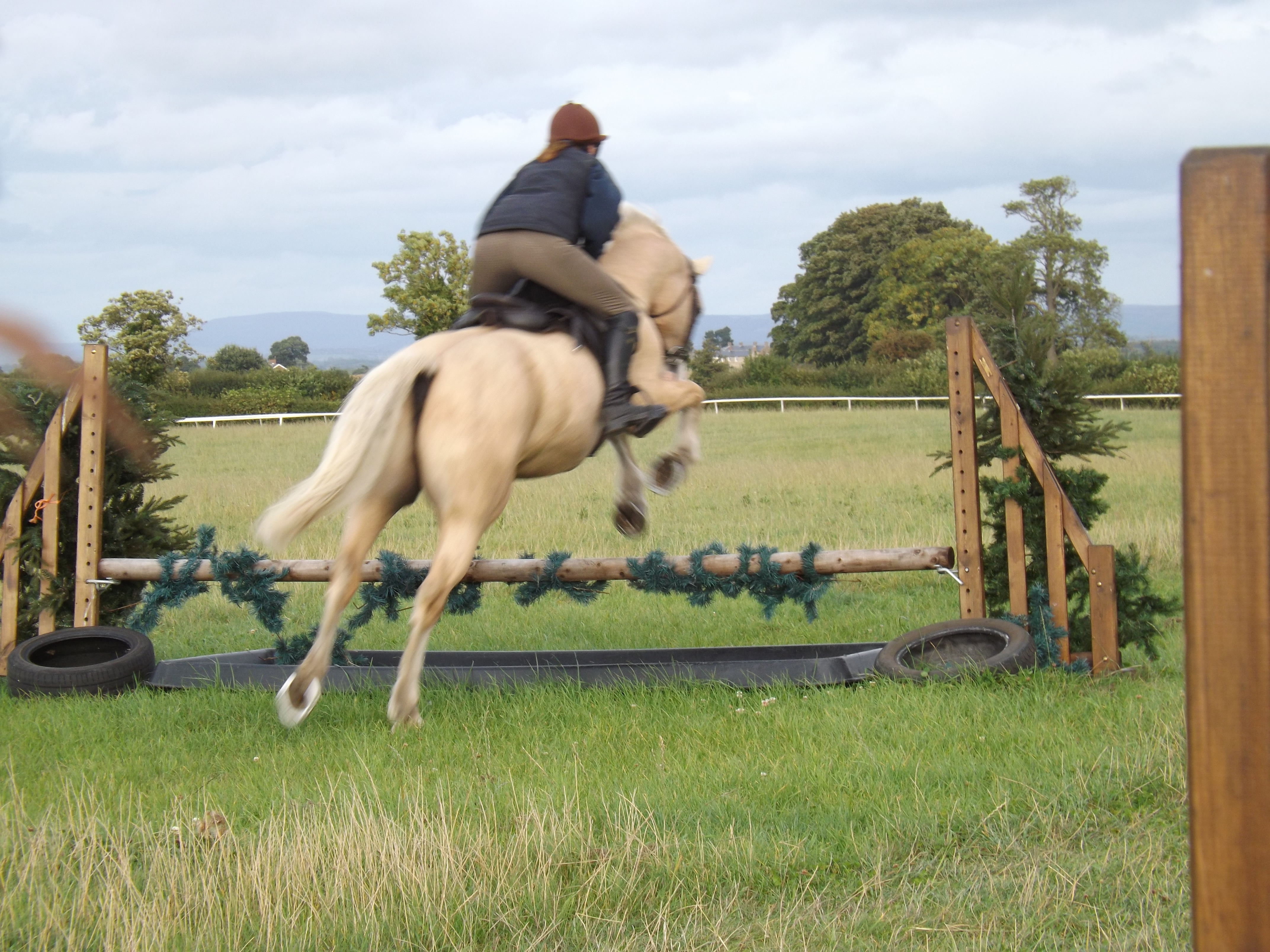 Training over the Working Hunter jumps at Phil Kirby Racing